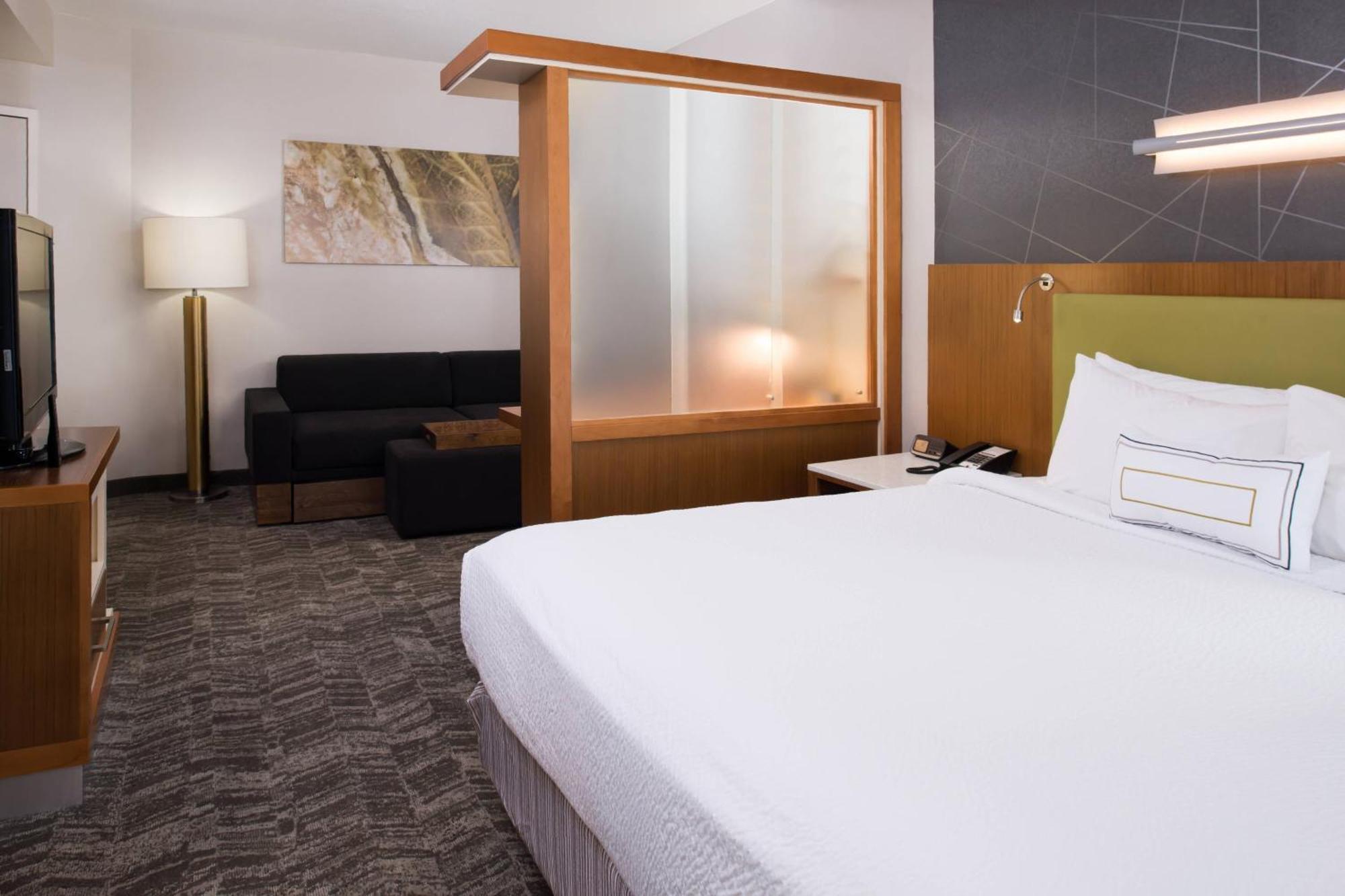 Springhill By Marriott Downtown Hotel